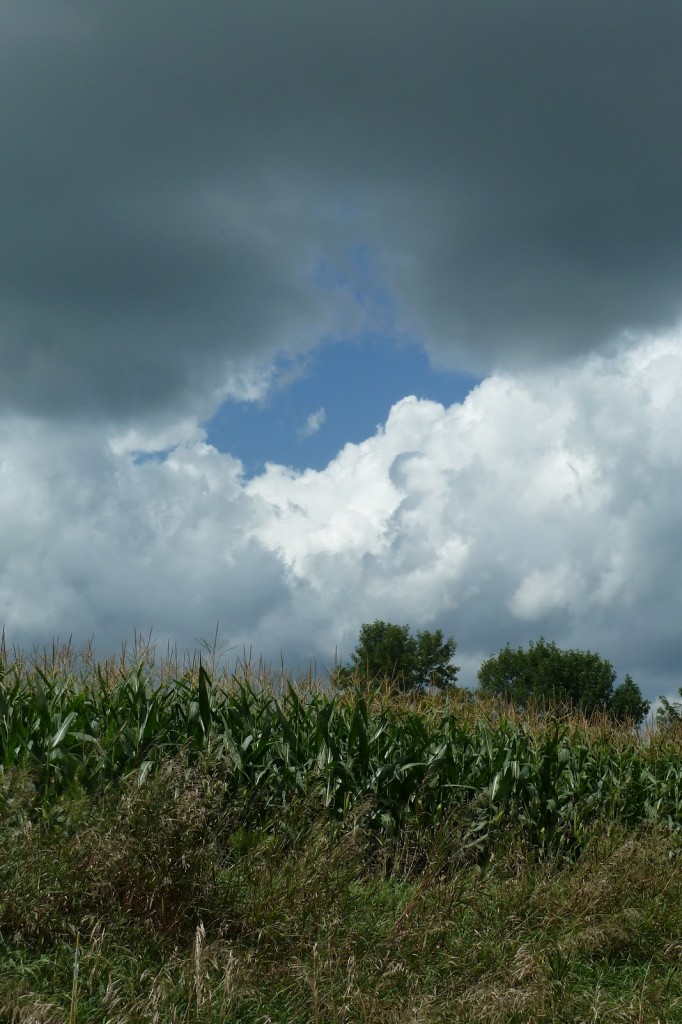 clouds+over+corn1